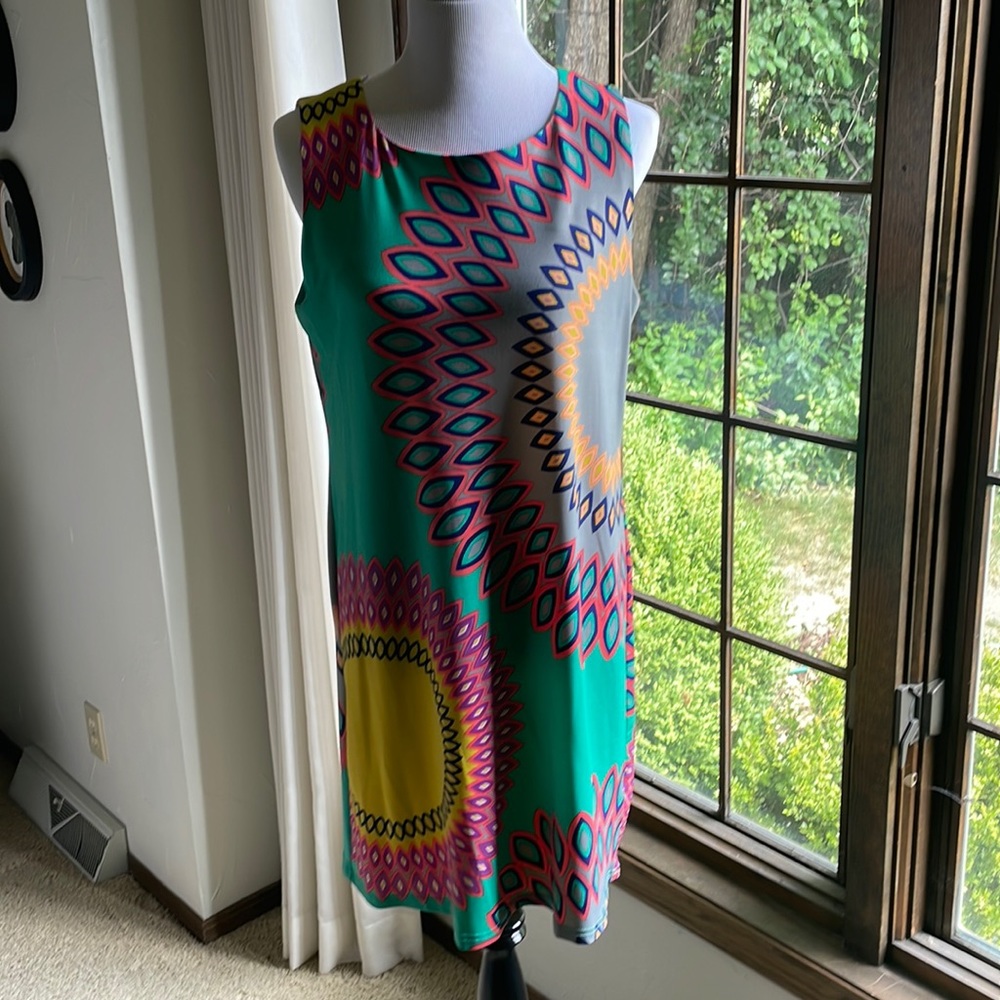 Aryeh print shift dress